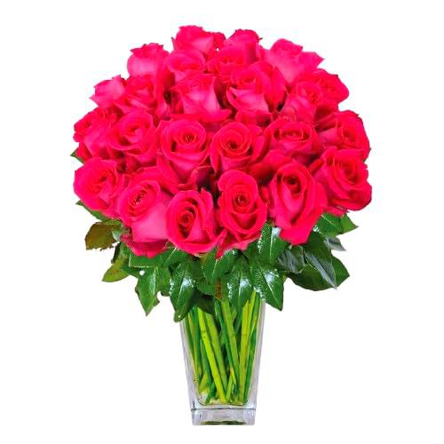 Bouquet de Rosas Rosa Oscuro con 25 Flores Aromáticas y Frescas para Endulzar el Hogar Rosas Naturales