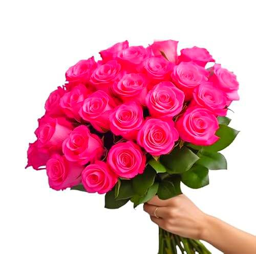 Ramo de Rosas Rosa Oscuro DECOALIVE Bouquet de 25 Flores Rosa Oscuro Frescas y Naturales
