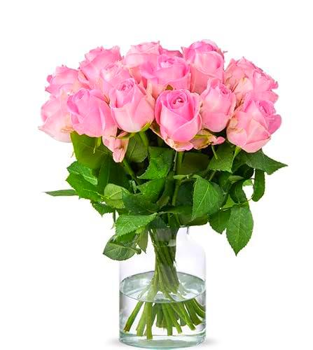 Ramo de Rosas Color Rosa Claro con 25 Flores PREMIUM Ideales para Decoración Rosas Frescas Naturales