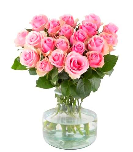 Bouquet de Rosas Rosa Claro con 25 Flores Aromáticas y Frescas para Endulzar el Hogar Rosas Naturales