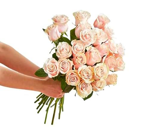 Bouquet de Rosas Rosa Claro PREMIUM con 25 Flores, Diseño Elegante para Regalos Exclusivos