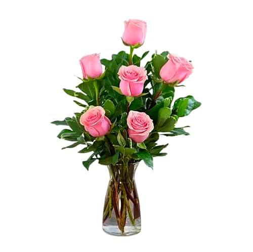 Bouquet de Rosas Rosa Claro con 25 Flores Naturales y Frescas de Alta Duración