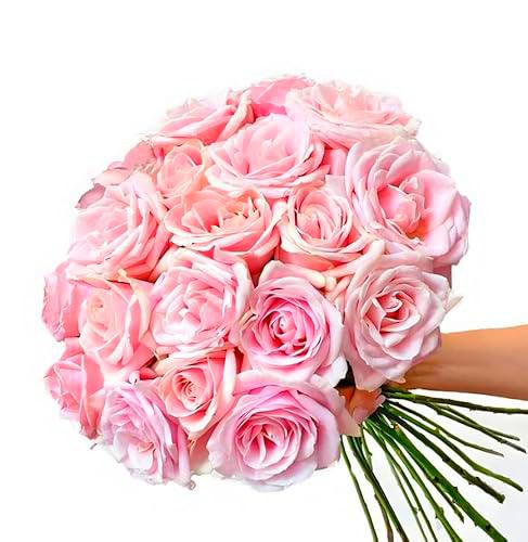Ramo de Rosas Rosa Claro DECOALIVE Bouquet de 25 Flores Rosa Claro Frescas y Naturales