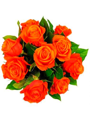 Ramo de ROSAS NARANJA Naturales con 25 Flores en Tonos Vibrantes Rosas Naranja Frescas para Ocasiones Especiales