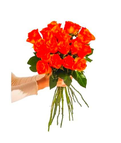 Ramo de Rosas Naturales Color Naranja con 25 Flores en Presentación Premium para Detalles Especiales Rosas Naranja Premium