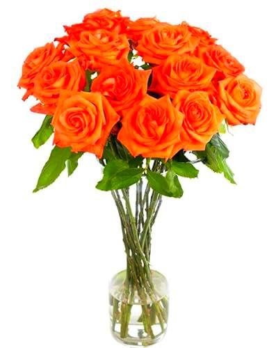 Ramo de Rosas Color Naranja con 25 Flores PREMIUM Ideales para Decoración Rosas Frescas Naturales
