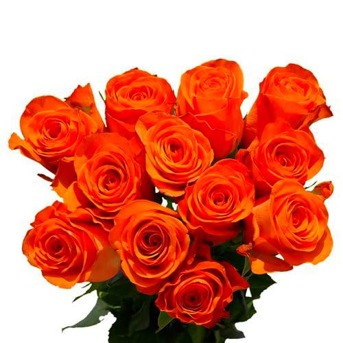DECOALIVE - Ramo de Rosas - Set 25 Flores Naranja - Bouquet de Flores Naturales