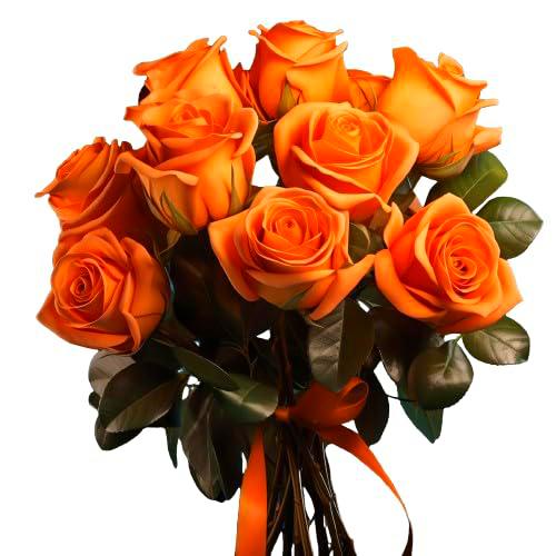 Ramo de Rosas Naranja Frescas con 25 Flores Románticas