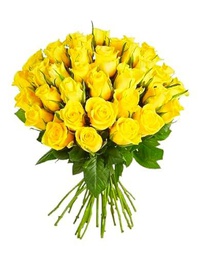 Ramo de Rosas Amarillas Natural con 25 Flores de Color Vibrante y Elegante Rosas para Regalar