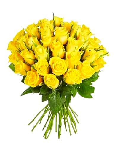 Ramo de Rosas Amarillas Natural con 25 Flores de Color Vibrante y Elegante Rosas para Regalar