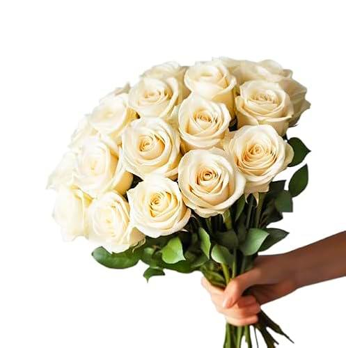 Ramo de Rosas Blancas DECOALIVE Bouquet de 25 Flores Blancas Frescas y Naturales