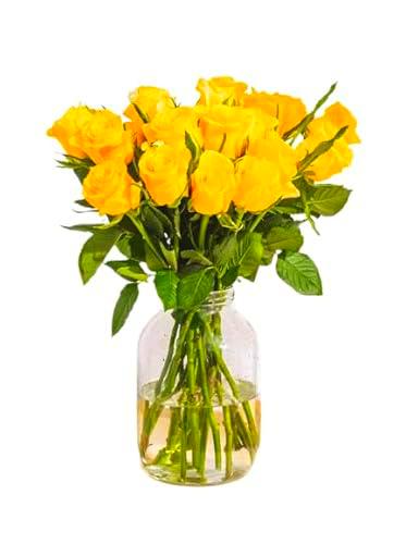 Ramo de Rosas Color Amarillo con 25 Flores PREMIUM Ideales para Decoración Rosas Frescas Naturales
