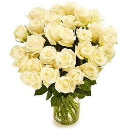 Ramo de Rosas Color Blanco con 25 Flores PREMIUM Ideales para Decoración Rosas Frescas Naturales