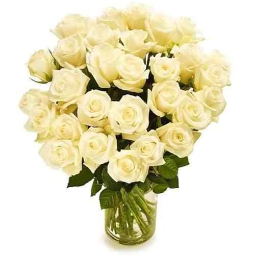 Ramo de Rosas Color Blanco con 25 Flores PREMIUM Ideales para Decoración Rosas Frescas Naturales