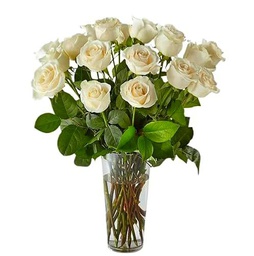 Bouquet de Rosas Color Blanco Flores Frescas con 25 Flores para Regalar en Cualquier Ocasión Rosas Blancas Naturales