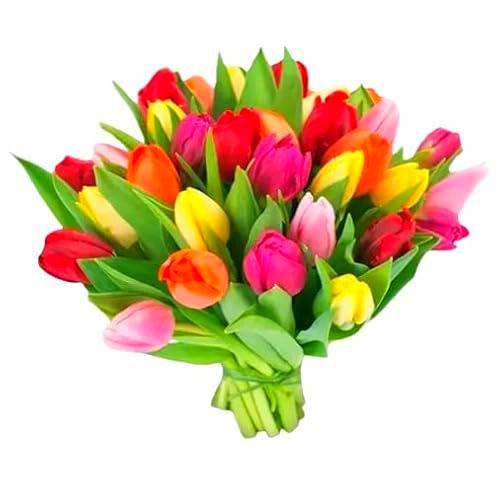 Ramo de Tulipanes Naturales y Frescos con 50 Flores Elegantes para Regalar