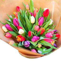 Bouquet de Tulipanes Naturales con 50 Flores en Diseño Romántico Tulipanes Frescos Colores muy Auténticos