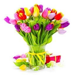 Ramo de Tulipanes Naturales Flores Frescas Color Mix Ramo con 50 Flores de Temporada
