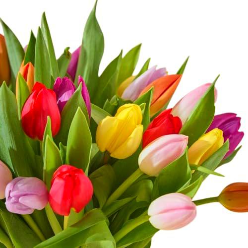 Ramo de Tulipanes Bouquet de Flores Frescas con 50 Tallos de Flores Románticas