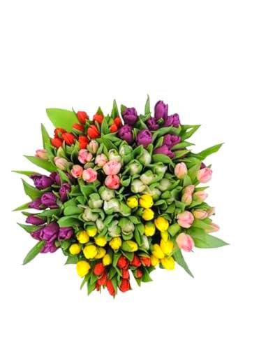 Ramo de TULIPANES Naturales con 50 Flores en Tonos Vibrantes Tulipanes Frescos para Ocasiones Especiales