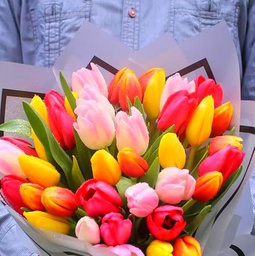 Bouquet de Tulipanes Mix Color Flores Frescas con 50 Flores para Regalar en Cualquier Ocasión Tulipanes Coloridos Naturales