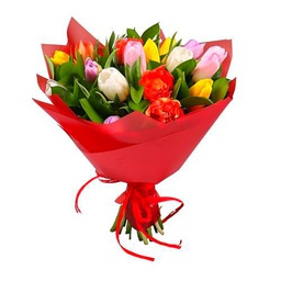 Ramo de Tulipanes Naturales Mix Color con 50 Flores en Presentación Premium para Detalles Especiales Tulipanes Premium