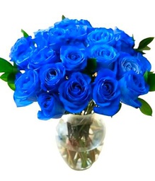 Ramo de Rosas Color Azul con 25 Flores PREMIUM Ideales para Decoración Rosas Frescas Naturales