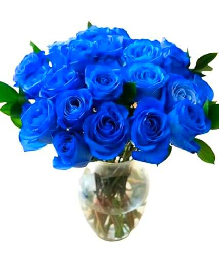 Ramo de Rosas Color Azul con 25 Flores PREMIUM Ideales para Decoración Rosas Frescas Naturales