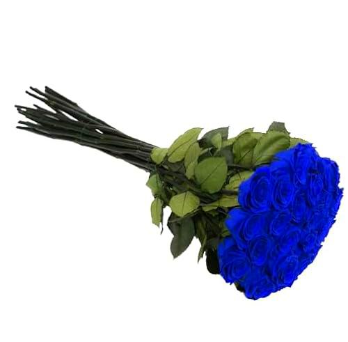 Ramo de Rosas Azules Frescas con 25 Flores para Decoración y Regalos Especiales