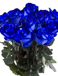 Ramo de Rosas Azules Natural con 25 Flores de Color Eléctrico y Elegante Rosas para Regalar