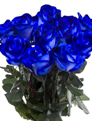 Ramo de Rosas Azules Natural con 25 Flores de Color Eléctrico y Elegante Rosas para Regalar