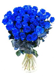 Ramo de ROSAS AZULES Naturales con 25 Flores en Tonos Vibrantes Rosas Azules Frescas para Ocasiones Especiales
