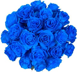 Ramo de Rosas Naturales Color Azul con 25 Flores en Presentación Premium para Detalles Especiales Rosas Azules Premium
