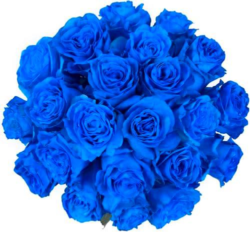 Ramo de Rosas Naturales Color Azul con 25 Flores en Presentación Premium para Detalles Especiales Rosas Azules Premium