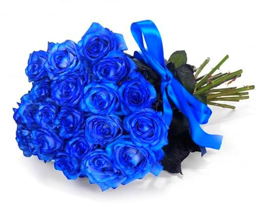 Bouquet de Rosas | DECOALIVE | Ramo de 25 Rosas Azules| Flores Frescas Naturales