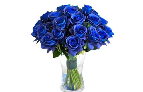 Ramo de Rosas Azules Frescas con 25 Flores en Diseño Moderno y Elegante Ramo Rosas Premium Color Azul