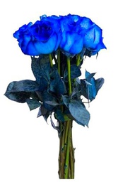 DECOALIVE | Ramo de Rosas Azules Frescas l | Bouquet 25 Flores | Rosas Color Azul Eléctrico Naturales y Frescas