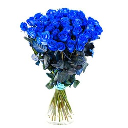 Ramo de Rosas Azules DECOALIVE Bouquet de 25 Flores Azules Frescas y Naturales