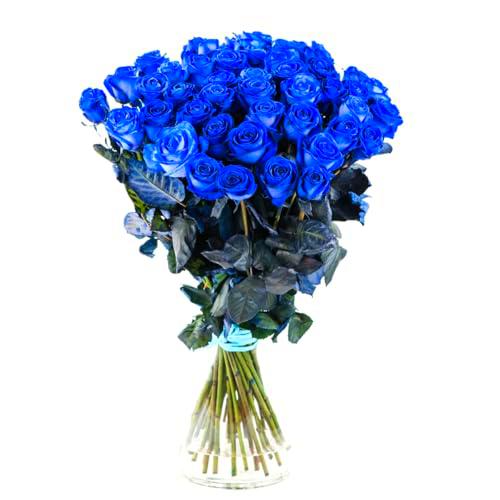 Ramo de Rosas Azules DECOALIVE Bouquet de 25 Flores Azules Frescas y Naturales