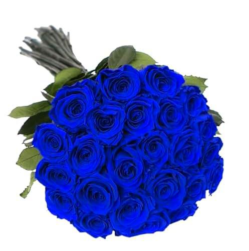 Ramo de Rosas Naturales Flores Frescas Color Azul Ramo con 25 Flores de Temporada