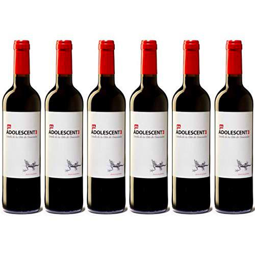 El Adolescente Vino Tinto Roble - 6 Botellas - 4500 ml