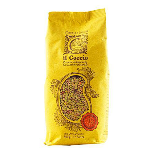 Il Coccio - Lentes pequeñas verdes italianas, paquete de 10 x 500 g