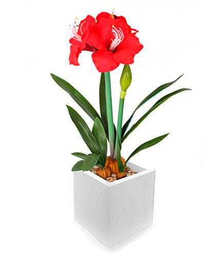 Closer To Nature FT033RD - Amarilis, 55 cm, color rojo