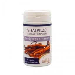 CORDYCEPS 60cap ECO PILZE WOHLRAB