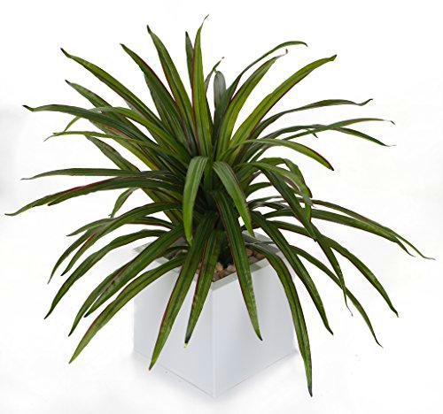 Closer To Nature - Ramo de Flores Artificiales 4 ft Yuca - Planta Seda Artificial Planta y Rango de árbol