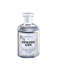 Spring Gin (1 x 0.5 l)