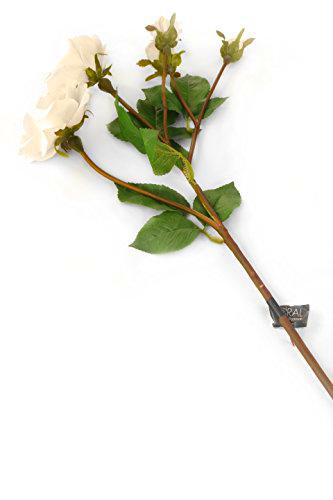 Elegancia Floral Artificial 87 cm Solo vástago Color Marfil Spray Rosas X 12 - Artificial Flor de Seda de Lujo Gama