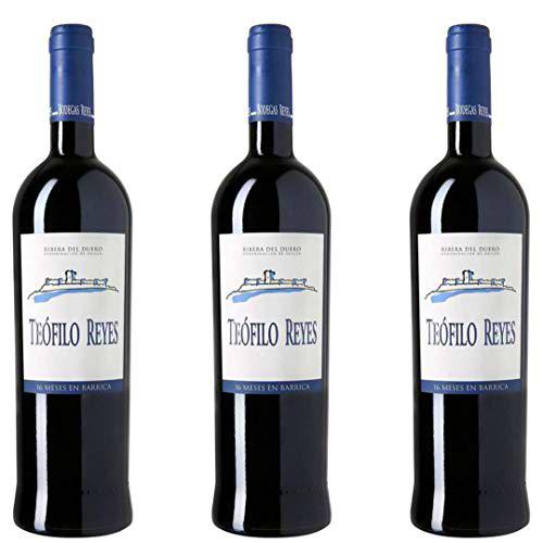 Teofilo Reyes Vino Tinto Crianza- 3 botellas x 750ml